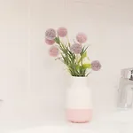 Alviera Dom wakacyjny