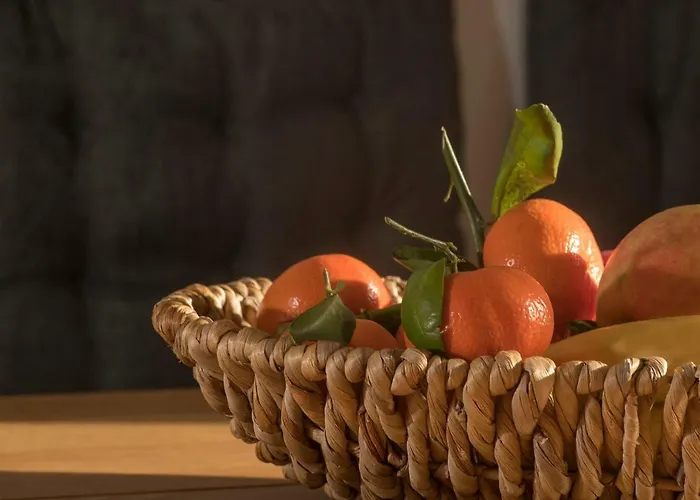 Alviera * Tschagguns